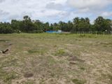 L4A004P27 - Land for Sale in Kalkudah