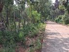 L4A014 - Plots for Sale in Pillaiyaradi