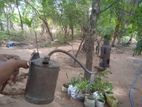 Laamannai Adupu