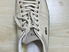 Lacoste Shoes
