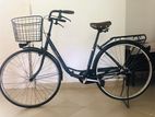 Ladies Bicycle (brand New)