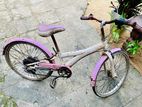 Ladies Bicycle