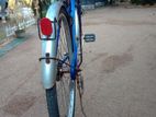 Ladies Bicycle