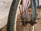 ladies bicycle