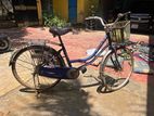 Ladies Bicycle
