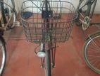 Ladies Bicycle