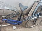 Ladies Bicycle