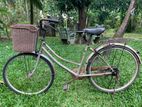 Ladies Bicycle