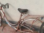 Ladies Bicycle