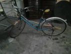 Ladies Bike