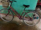 Ladies Bicycle