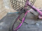 Ladies Children Cycle