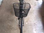 Ladies Bicycle