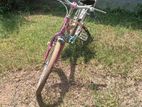 Ladies Japan Bicycle