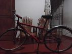 Ladies Japan Bicycle