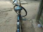 lady bicycle
