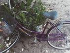 Lady's Bicycle
