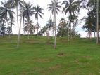ලැබීම නව රෝහල පාරෙන් ඉඩමක්