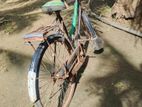 laedis cycle