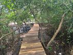 Lagoon front facing 82perch Land for sale in Negombo