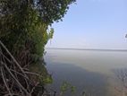 Lagoon Front Land Negambo