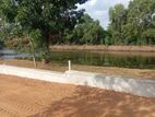 Lake Facing 20p Land for Sale in Nawala