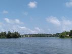 Lake Facing 54 Perches Land for Sale in Moratuwa Town