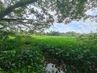Lake Facing Bare Land For Sale In Akuregoda, Pelawatta