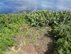 Lake Facing Land in Bolgoda