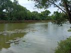 Lake facing land in Nawala