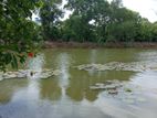 Lake facing land plots in Nawala