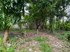 Lake Front Land for Sale Ds6030 - Kotiyagoda