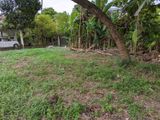 Lake Front Land for Sale in Boralesgamuwa (next to Walking Path)