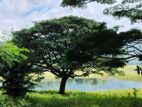 Lake Front Land for Sale in Kandy Digana