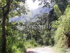 Lake FRONT land for sale in Kandy DIGANA