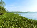 Lake Front Land For Sale in Piliyandala