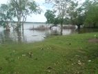 Lake Front Land for Sale in Tissmaharamaya -Code Add 836