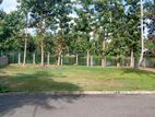 Lake View Land for Sale Wennappuwa
