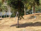 lake view lands in Matara