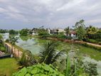 Lakefront Luxury House for rent