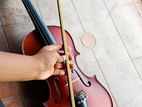Violin