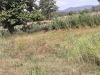 Land 2 Blocks for Sale Aluthgama