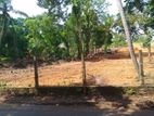 Land අලුත්වල මීඩියාගොඩ පුධාන පාරට මුහුණලා