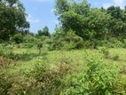Land with House for Sale Kilinochchi