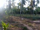 Land Newly Build House for Sale Udubaddawa