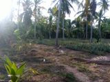 Land Newly Build House for Sale Udubaddawa