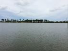 LAND & PENINSULAR ON THE EAST COAST WITH PRISTINE SEA-FRONT | LC 1711