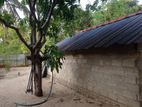 Land with Small House for Sale Batticaloa
