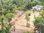 Land අනුරාධපුර ටවුමට ලගම තැනක් සාලියපුර