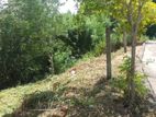 Land for Sale in Ampitiya